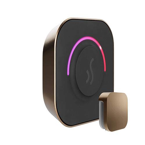 TempoTouch Steam Control & Aroma Steam Head