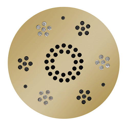 Serenity Essential Shower Head