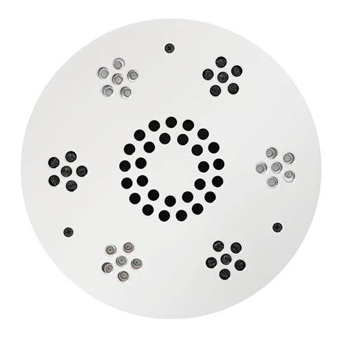 Serenity Essential Shower Head