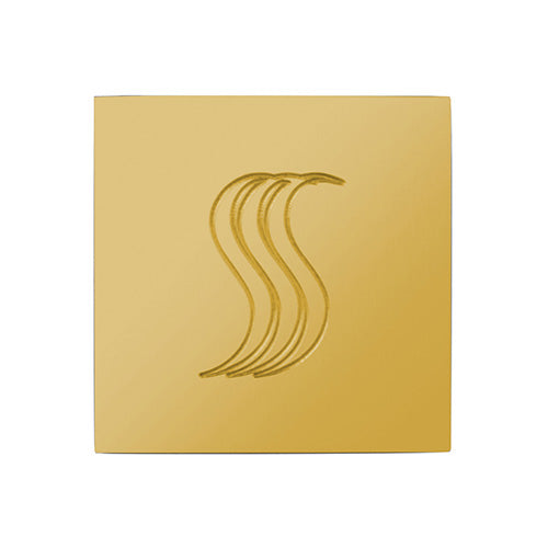 SteamVection Steam Head