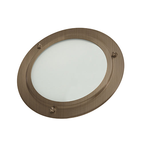 Shower LED Light