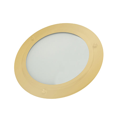 Shower LED Light